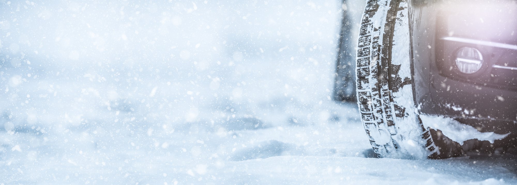 AdobeStock_312254414 AdobeStock_312254414