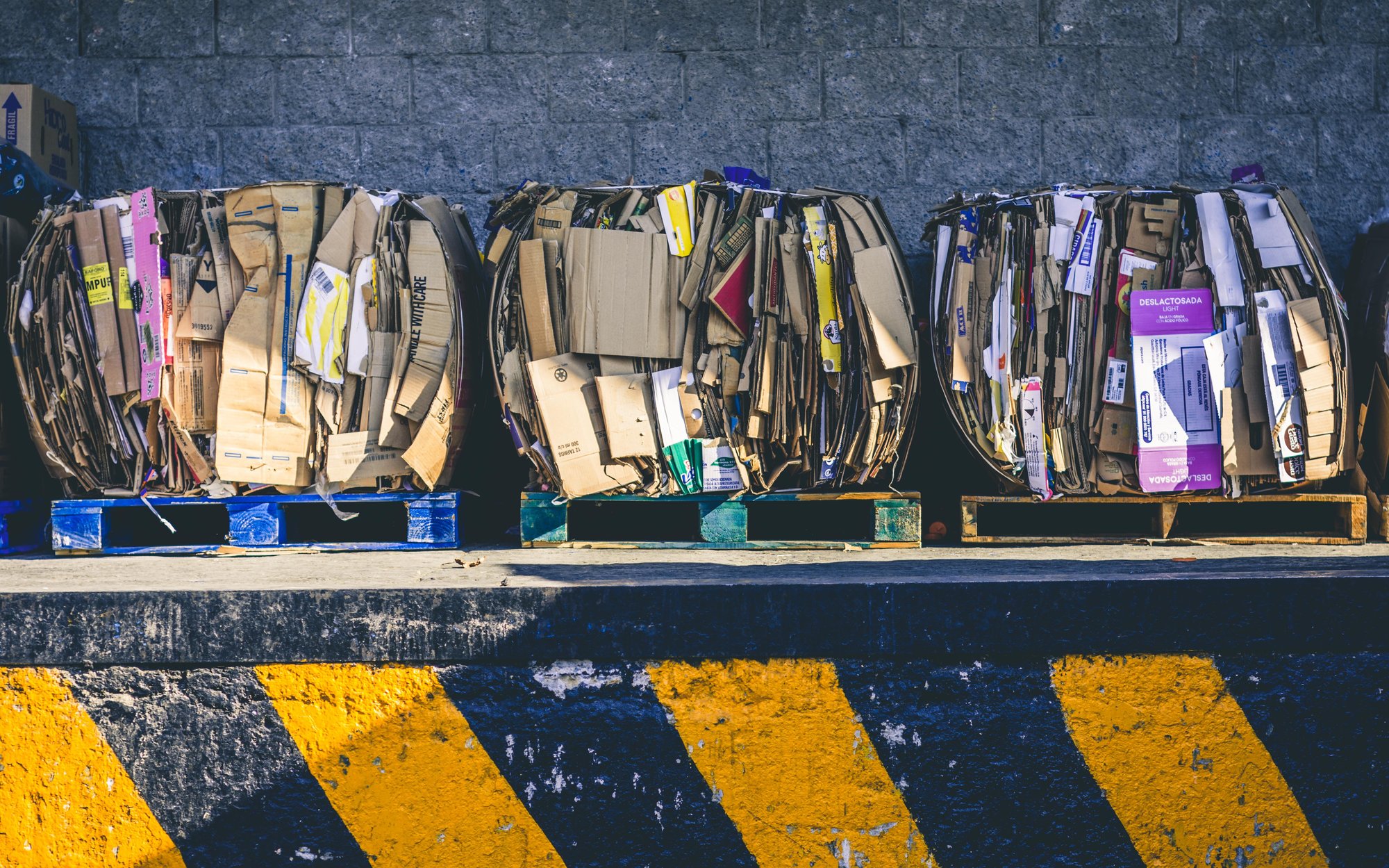 alfonso-navarro-qph7tJfcDys-unsplash alfonso-navarro-qph7tJfcDys-unsplash